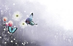 ---butterfly-wallpapers-840