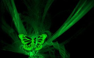 ---green-lights-butterfly-15157