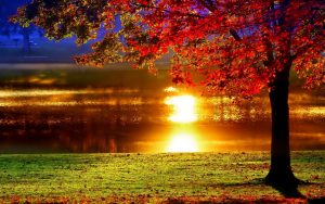 ---lakeside-sunset-reflection-1184