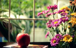 ---mood-apple-red-flowers-pink-yellow-15807