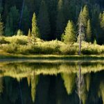 ---nature-lake-reflection-4824