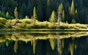 ---nature-lake-reflection-4824