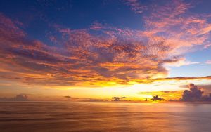 ---ocean-sunset-horizon-10965