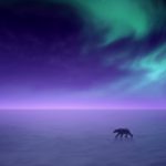 polar-bear-2560x1440-aurora-borealis-northern-lights-hd-4504