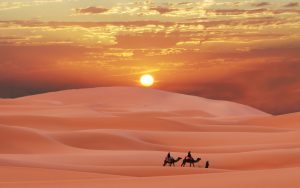 ---sahara-desert-sunset-11691