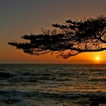 ---stunning-california-sunset-16796