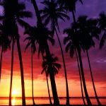 ---sunset-beach-wallpapers-1651