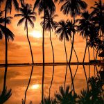 ---sunset-hawaii-beach-16851