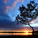 ---sunset-pelican-island-australia-5764