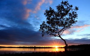 ---sunset-pelican-island-australia-5764