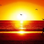 ---sunset-wallpaper-hd-widescreen-16861