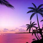 ---tropical-beach-sunset-wallpaper-5907