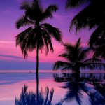---tropical-purple-sunset-17005