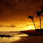 ---tropical-sunset-wallpaper-5938