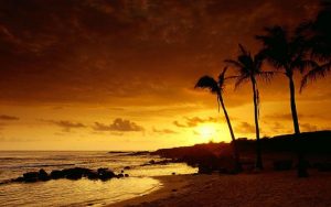 ---tropical-sunset-wallpaper-5938