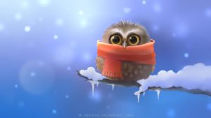 ---cute-little-owl-8160
