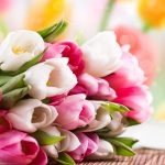 ---tulip-flowers-bouquet-17010