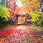 ---autumn-beautiful-wallpaper-701
