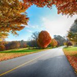---autumn-in-country-road-6765