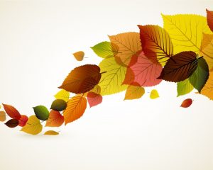 ---autumn-leaves-13384