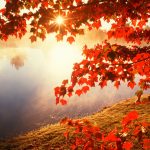 ---autumn-leaves-wallpapers-2272