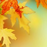 ---autumn-leaves-wallpapers-2279