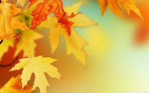 ---autumn-leaves-wallpapers-2279