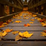 ---autumn-leaves-wallpapers-2284