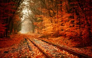 ---autumn-railway-2293