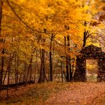 ---autumn-wallpapers-711