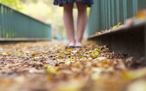 ---leaves-autumn-close-up-girl-legs-mood-15540