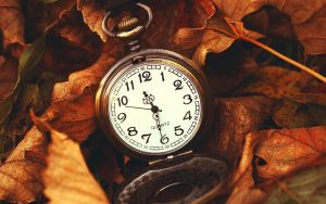 ---macro-watch-time-leaves-autumn-10361
