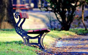 ---mood-bench-park-leaves-path-fall-autumn-10565