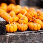 ---pumpkins-orange-autumn-16303