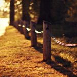 ---road-grass-fence-nature-autumn-11644