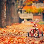 ---tricycle-trees-fallen-leaves-autumn-photo-5897