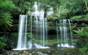russell falls, mt field national park, tasmania
