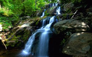 ---forest-waterfall-wallpaper-8915
