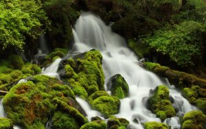 ---moss-waterfall-15831