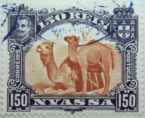 nyassa 150 reis correios portugal 1901 rotlichbraun red brown brun jaune camel stamp