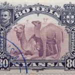 nyassa 80 reis correios portugal 1901 lila lilac lilas camel stamp