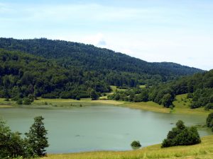 beautiful lake rakitna slovenija