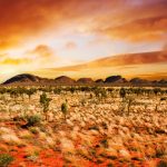 central australia 2560x1600 desert sunset landscape 4k 3650