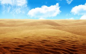 desert sand hd 8312