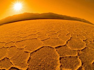 sunrise in desert 12274